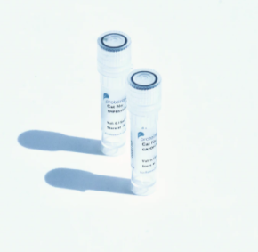 *生物化學制品*試劑 抗體E-cadherin Polyclonal antibody