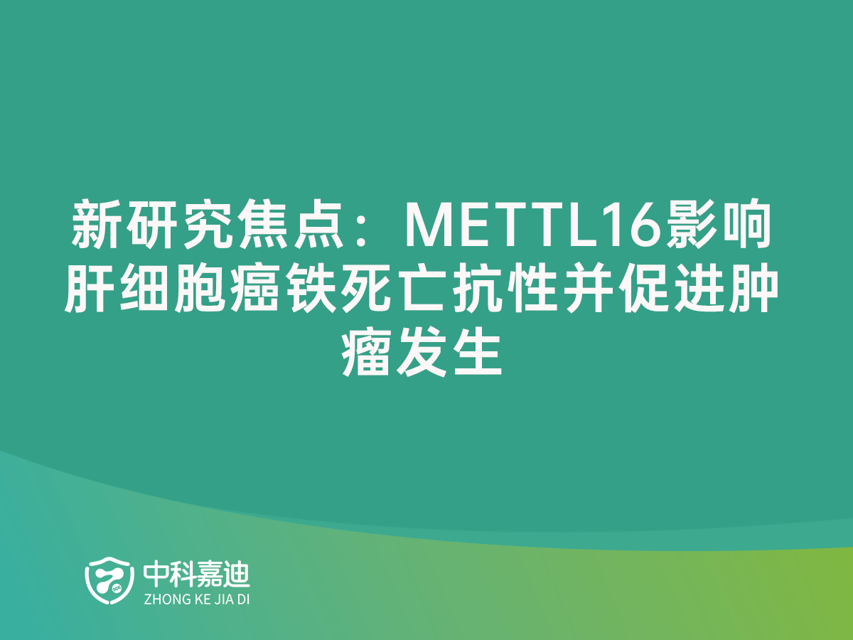 http://www.xinedns.cn/uploads/20250117/32f04bfc958a7203a290b59e6a475c93.png