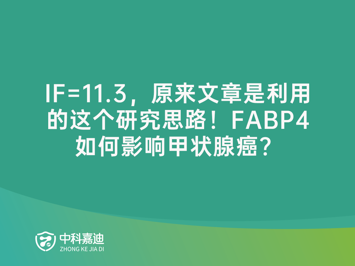 http://www.xinedns.cn/uploads/20250117/93422464dad0b095cea18e7a2da59427.png